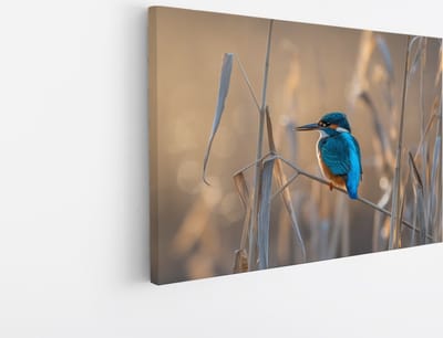 Saammp Canvas Schilderij - Vogel op tak - Dieren - Bloemen - 30x20 - Foto op canvas - Wanddecoratie - muurdecoratie Woonkamer - Slaapkamer decoratie - Canvas Print