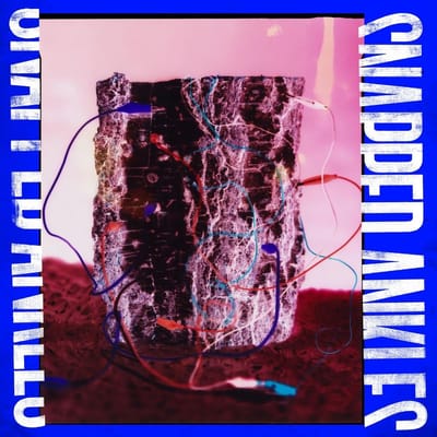 Snapped Ankles - Forest Of Your Problems (LP)
