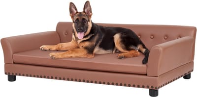 BingoPaw Hondenbank XL - Luxe Tech Leather Cloth Hondenbank Loungebed voor Grote Honden - Houten Frame Verhoogde Puppy Sofa Stoel met Comfortabele Kussenmat - Wijnrood - XL - 120x75cm