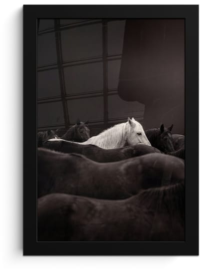 Poster in lijst - Fotolijst 20x30 cm - Posters - Paarden - Zwart - Wit - Kudde - Posterlijst zwart - Decoratie - Wanddecoratie woonkamer - Muurdecoratie slaapkamer