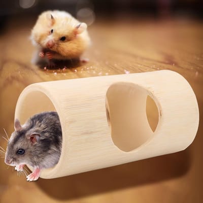 Kleine Dieren Hamster Bamboe Buis Speelgoed Huisdier Grappig Speelgoed Kooi Speelgoed (Groot) L 120x60x0.3cm / 47.2x23.6x0.1in
