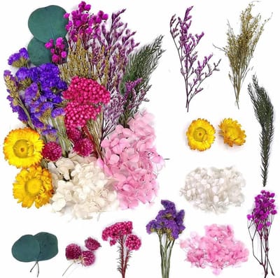 Gedroogde Bloemen Set voor Knutselen, Hars, Scrapbooking en Decoratie - Echte Natuurlijke Bloemblaadjes