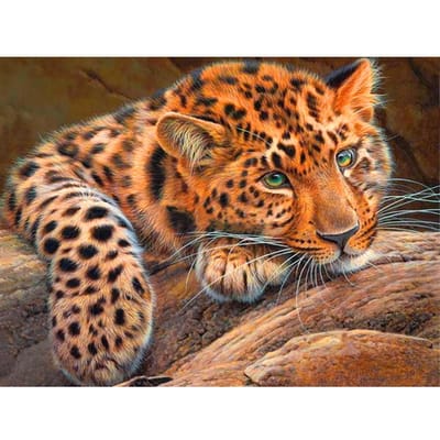 Peinture diamant 5D à faire soi-même, joli tigre, broderie, point de croix, strass, mosaïque, décoration d'intérieur 20X30CM orange