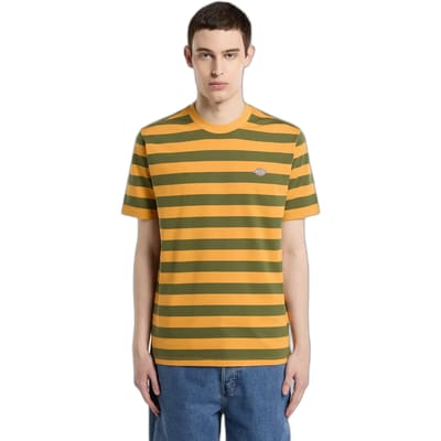 T-shirt Dickies Rivergrove