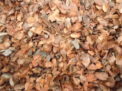 Cacaodoppen Bodembedekker 50 liter