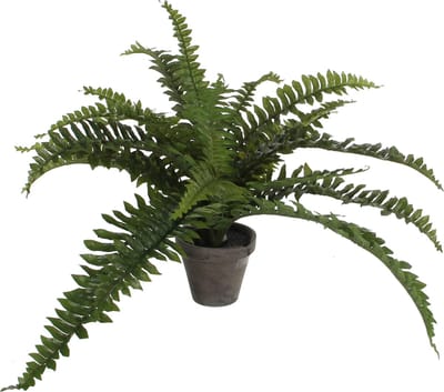 Mica Decorations Boston Varen kunstplant/kamerplant - groen - in pot - H35 cm x D45 cm