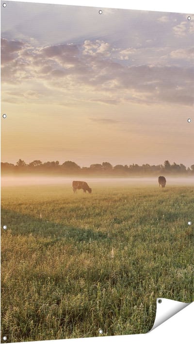 Gards Tuinposter Koeien in de Wei tijdens Zonsopkomst - 100x150 cm - Tuindoek - Tuindecoratie - Wanddecoratie buiten - Tuinschilderij