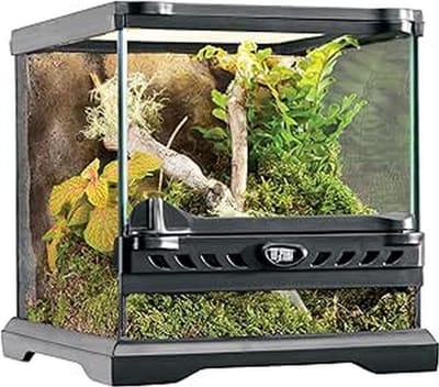 ApexArte® Terrarium - Ecosysteem - Reptielenverblijf - Transparant
