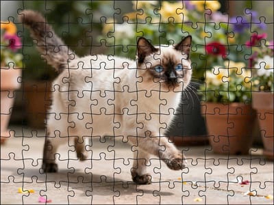 Puzzel Heilige Birmaan in de tuin | 120 stukjes | Dierenpuzzel | Kattenpuzzel