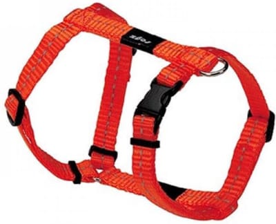 Rogz For Dogs Nitelife Hondentuig - Oranje - 11 mm x 20-36 cm