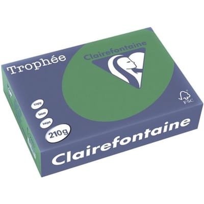 Clairefontaine Trophée Intens, gekleurd papier, A4, 210 g, 250 vel, bijartgroen