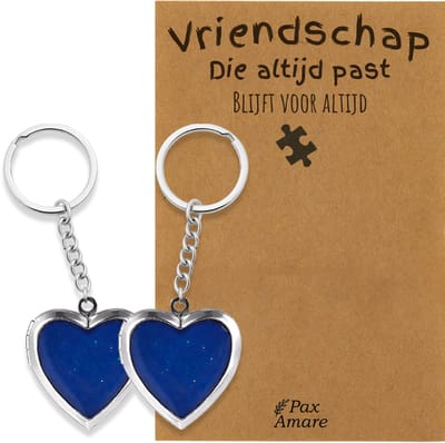 BFF Sleutelhanger voor 2 'Vriendschap die altijd past' - Medaillon verandert van kleur - Sleutelhanger set op Cadeau Kaartje - Zilverkleurig - Vriendschap Symbool - Pax Amare