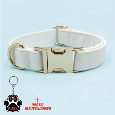 SilverAndCoco® - Witte Honden Halsband met Gratis Sleutelhanger | Velvet Hond Puppy Bandje | Hondenhalsband Suède Gouden | Kleding Decoratie | Hondenbandje Huisdier - Wit / Goud