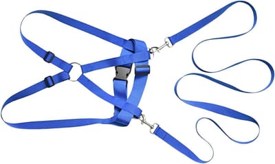 Veiligheidsharnas Kinderen - Leid Touwtje - Buiten Avontuur - Huidvriendelijk Polyester - 200cm Lengte - Blauw