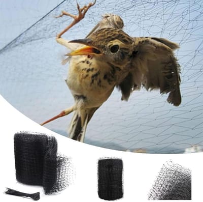 Vogelnetten Tuin - Insectenvijvers - Bladplugs - Tuinbarrières - Plantenbakken - Fruit Groente Bloemen - Tuinieren