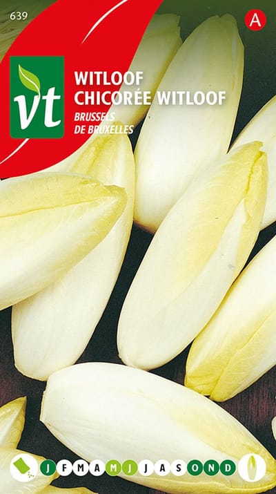 Witloof Brussels - Traditionele Winterdelicatesse voor Thuis Kweken