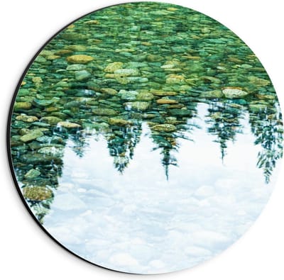 Dibond Wandcirkel - Weerspiegeling van Bomen in Water - 20x20cm Foto op Aluminium Wandcirkel (met ophangsysteem)