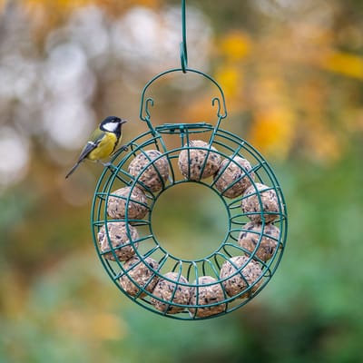 CJ Wildlife - Vetbollenkrans (voor 10 vetbollen) - Groen - Vogelvoederplek voor Mezenbollen