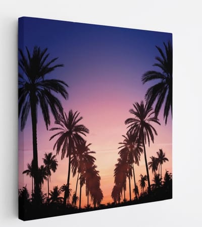 Saammp Canvas Schilderij - Palmbomen met zonsondergang - Natuur - 20x20 - Foto op canvas - Wanddecoratie - Muurdecoratie Woonkamer - Slaapkamer decoratie - Canvas Print