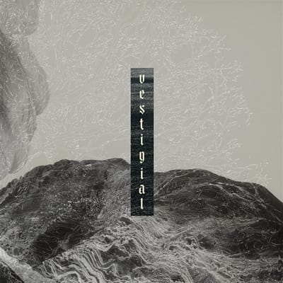 Vestigial - Descending Vastness (CD)