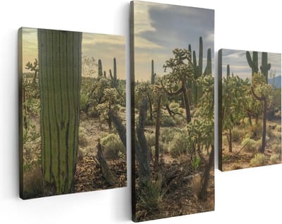 Artaza Canvas Schilderij Drieluik Cactus Planten in het Wild - 90x60 - Foto Op Canvas - Canvas Print
