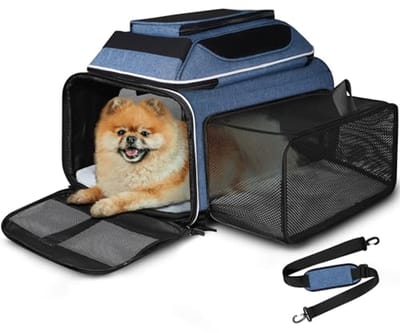 Uitbreidbare huisdierenreistas voor kleine honden en katten - 43 x 28 x 24 cm, zachte draagtas met veiligheidssluiting
