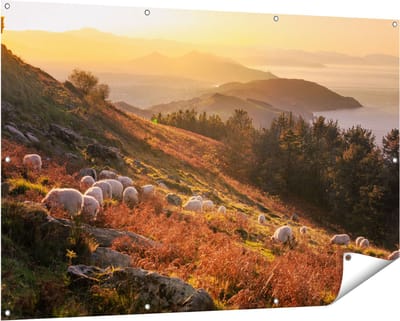 Gards Tuinposter Schapen in de Bergen - 150x100 cm - Tuindoek - Tuindecoratie - Wanddecoratie buiten - Tuinschilderij