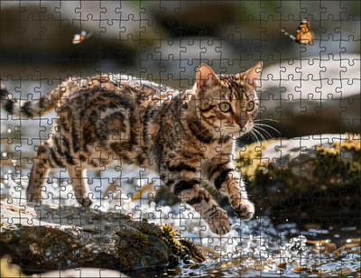 Puzzel Bengaalse kat in het water | 252 stukjes | Dierenpuzzel | Kattenpuzzel