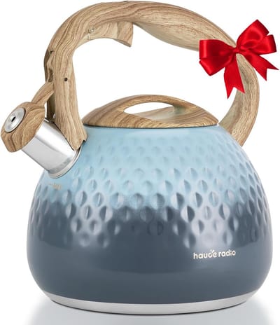 Waterkoker - Theepot RVS - Water Koken - Luid Fluitje - 2.7 Liter - Gegradueerd Blauw