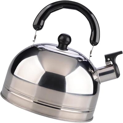 Waterkoker - Theeketel fluitketel - Koffie en thee - Roestvrij staal - 25 liter - Zilver