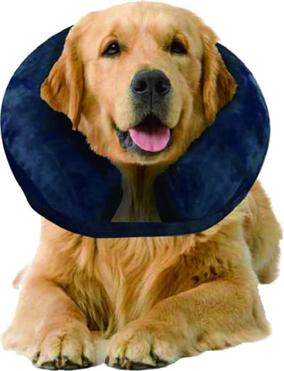Inflatable Protective Collar maat S