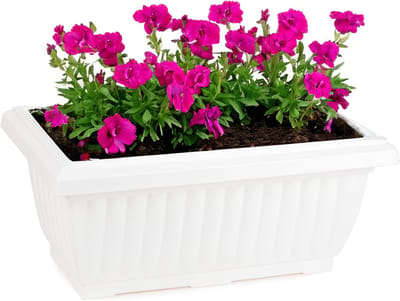 Plasticforte Plantenpot/bloempot Windsor - buiten - kunststof - wit - L33 x B18 x H15 cm - plantenbak - balkon/terras/tuin