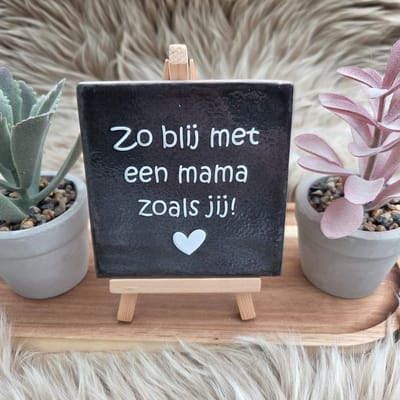 Robuust wenstegeltje – Zo Blij met een Mama zoals Jij – 10x10 cm – Lief Cadeau voor Moederdag, Mama's Verjaardag of Zomaar voor Mama – Wanddecoratie – Trendy nu