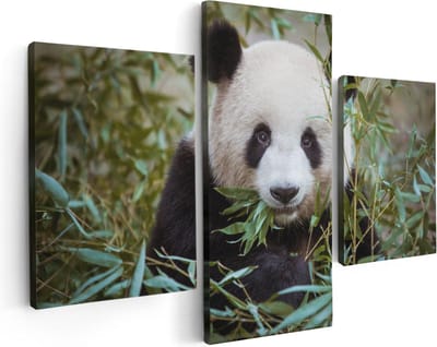 Artaza Canvas Schilderij Drieluik Panda Eet Planten - 90x60 - Foto Op Canvas - Canvas Print