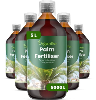 Vloeibare Meststof Voor Palm 5X1 L Voor 5000 L - Npk 2-1-8 - Versterkt Palmbladeren Met Verbeterde Kleur, Glans En Bladtextuur - Ondersteunt Opgaande, Sterke En Goed Gestructureerde Palmgroei - Verbetert De Langetermijnvitaliteit - Organifer