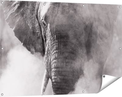 Gards Tuinposter Olifantenkop - Olifant - Zwart Wit - 120x80 cm - Tuindoek - Tuindecoratie - Wanddecoratie buiten - Tuinschilderij