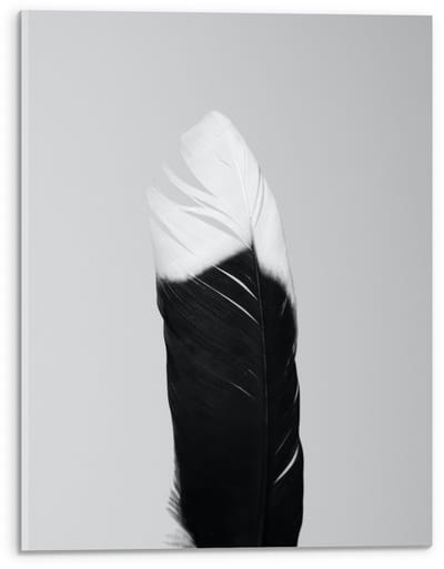 Acrylglas - Zwart/wit Veer - 30x40cm Foto op Acrylglas (Met Ophangsysteem)