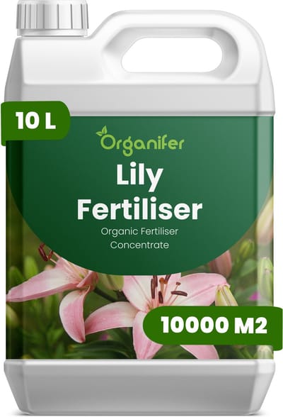 Vloeibare Meststof Voor Lelie 10 L Voor 10000 M2 - Npk 3-4-3 - Geschikt Voor Аlle Leliesoorten - Stengelstevigheid - Verticale Groei - Knopvorming - Kleurintensiteit - Langdurige Bloemen - Sierwaarde - Geschikt Voor Snijbloemproductie - Organifer