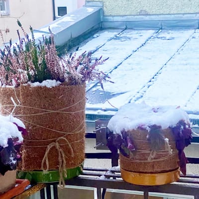 Kokosmat, winterbescherming voor planten, bescherming tegen kou, 30 cm x 2 m, kokosmat voor potplanten, plantenbescherming, bescherming tegen kou