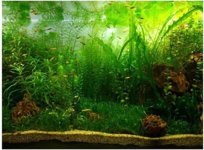 ByShane - PVC Aquarium Achtergrond Poster Water Gras Stijl Vis Tank Decorpapier - 91 * 41 cm