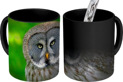 Magische Mok - Foto op Warmte Mokken - Koffiemok - Vogel - Uil - Dieren - Bruin - Portret - Magic Mok - Beker - 350 ML - Theemok