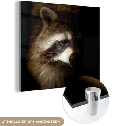 MuchoWow® Glasschilderij 50x50 cm - Schilderij acrylglas - Wasbeer - Wilde dieren - Zwart - Foto op glas - Schilderijen