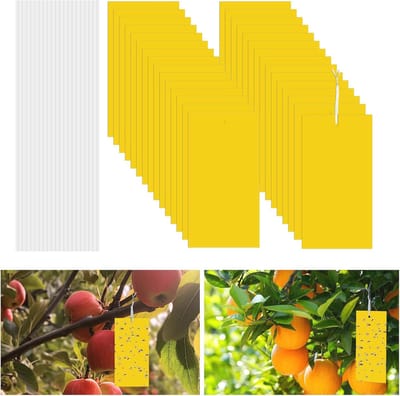 30 stuks gele stickers voor ongediertebestrijding - effectieve vliegenval en rouwmuggen bestrijding