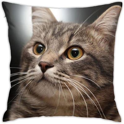 Moderne Schattige Kat Vierkante Kussenhoes Polyester Ritsluiting Decoratieve Bank Bed Kussenhoes voor Diverse Kamers 45x45cm