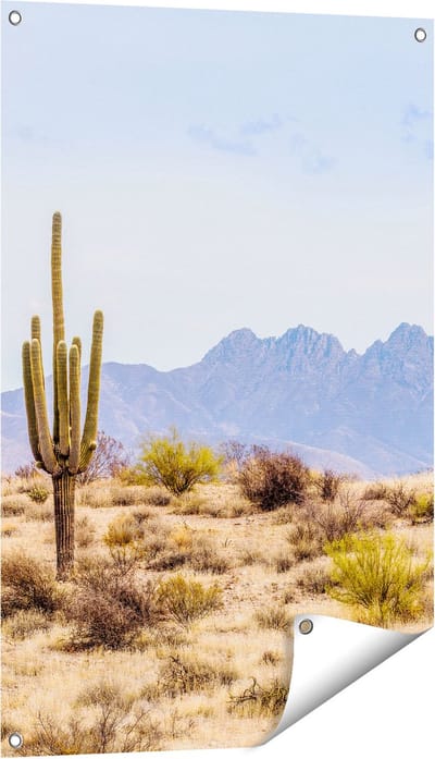 Gards Tuinposter Cactussen in de Woestijn - 60x90 cm - Tuindoek - Tuindecoratie - Wanddecoratie buiten - Tuinschilderij