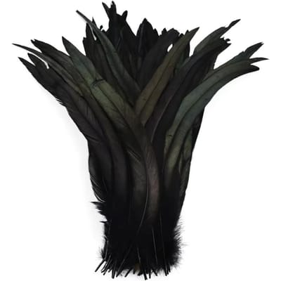 100 Stuks Hahnenvachten Voor Knutselen 35-40Cm Vliegbindmateriaal Lange Fazant Carnaval Bruiloftsdecoratie Sieraden Accessoires zwart