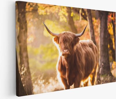 Saammp Muurcirkel Hout - Roze bomen in zonsondergang - Abstract - Ø 90 - Wandcirkel - Wanddecoratie Cirkel - Muurdecoratie Woonkamer - Kantoor Decoratie