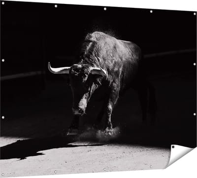 Gards Tuinposter Stier in de Arena - Zwart Wit - 160x120 cm - Tuindoek - Tuindecoratie - Wanddecoratie buiten - Tuinschilderij
