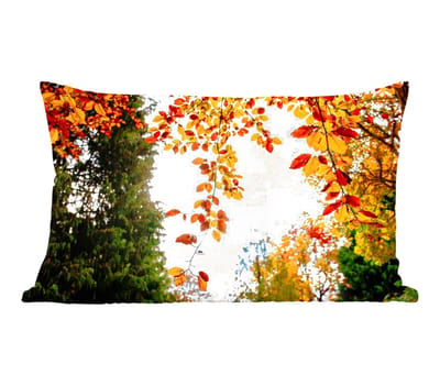 Sierkussens - Kussentjes Woonkamer - 50x30 cm - Herfst - Bladeren - Natuur