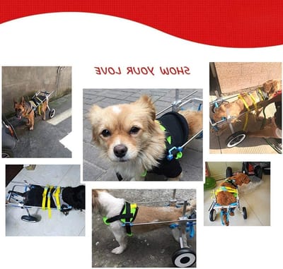 Huisdier Rolstoel - Hondenkar Kattenkar - Mobiliteit Verbeteren - Verstelbaar Aluminium Frame - 2 Wielen - Zilver